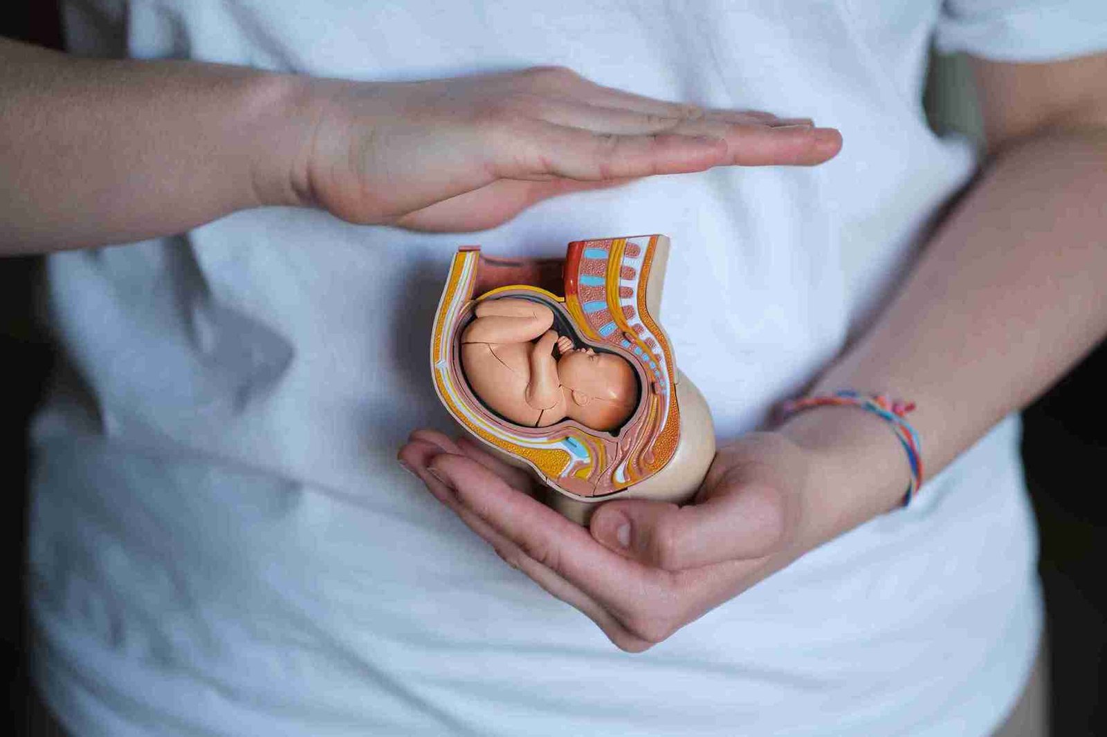 placenta positions